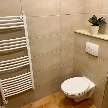 Apartment Auf Dem Gutshof Renz Weißenfels